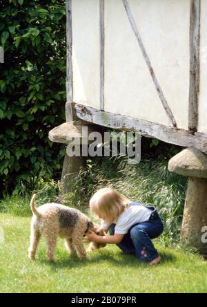 Kleines Mädchen, das blaue Latzhose auf dem Rasen mit Fuchs-Terrier-Hund trägt Stockfoto