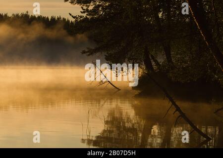 Nebel über einem See in der Taiga, Finnland Stockfoto