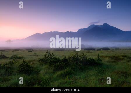 Naturreservat Kendlmühlfilzn bei Sonnenaufgang in Morgennebel, Deutschland, Bayern, Graßau Stockfoto