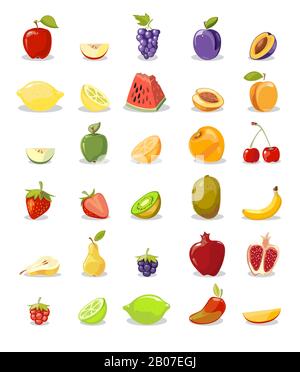 Sammlung von Vektorfrüchten und -Schichten. Abbildung: Birne und apfel, Zitrone und Orange Stock Vektor