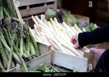 Frischer Grün-Weiß-Asparagus auf einem Bauernmarkt in Paris, Frankreich. Person, die White Asparagus im Lebensmittelgeschäft kauft. Stockfoto