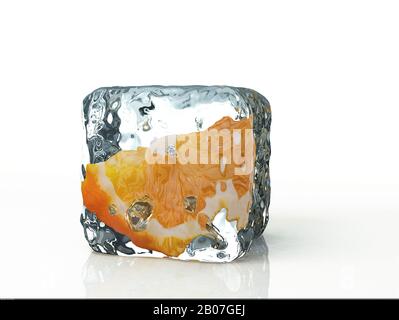 Eiswürfel und Orange isoliert auf weißem Hintergrund Stockfoto