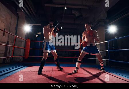 Stattliche männliche Kämpfer üben Kickboxen mit Sparringspartner im Ring im Health Club Stockfoto