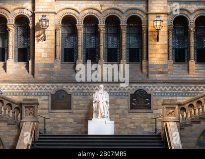 London, Großbritannien. Etwa Dezember 2019. Statue von Charles Darwin, Vater der Theorie der Evolution der Spezies, im Natürlichen Histor Stockfoto