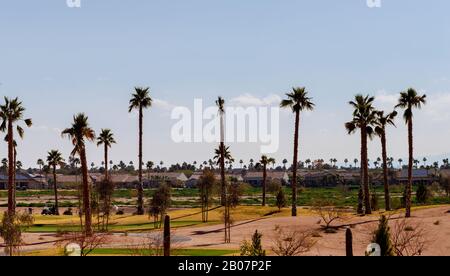 Stadt Phoenix Panorama Kaktus in der Ferne Arizona schöne Landschaft Stockfoto