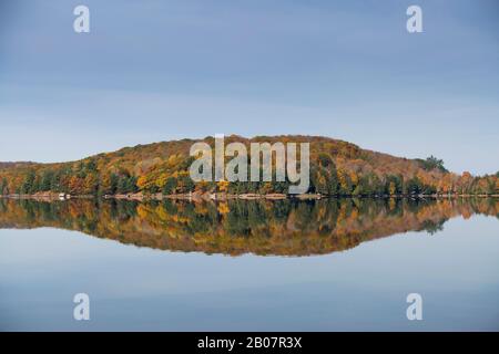 Bäume spiegeln einen ruhigen See in Ontario wider. Stockfoto