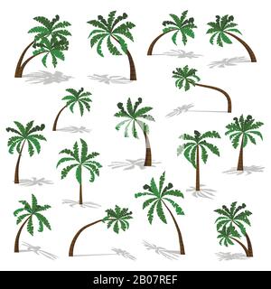 Grüne Palmen mit Schatten isoliert auf weißem Hintergrund. Stock Vektor