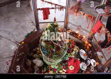 Shivling Puja (Lord shiva) während des Shivratri Festivals in Indien Stockfoto