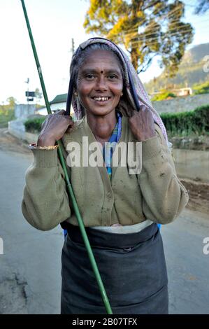 Sri Lanka, Nuwara Eliya, tamilin Stockfoto