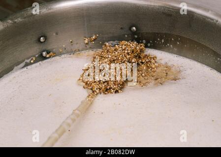 Gemahlene Malze in einem Wassertank. Zutaten für die Zubereitung von Nahaufnahme. Bierschmaus Stockfoto