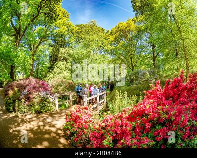 London, England, Großbritannien - 13. Mai 2019: Touristen, die im Sommer den schönen Plantagengarten von Isella im Richmond Park besuchen, mit farbenfrohen und erstaunlichen Farben Stockfoto