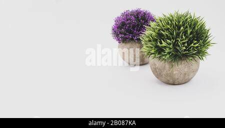 Künstliche Topfpflanzen auf weißem Hintergrund - Naturkonzept Stockfoto