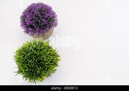 Künstliche Topfpflanzen auf weißem Hintergrund - Naturkonzept Stockfoto