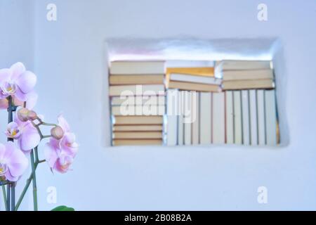 Nahaufnahme einer Orchidee mit einem Hintergrund von unscharfen Büchern in einer weißen Wand, modernes Wohnen Stockfoto