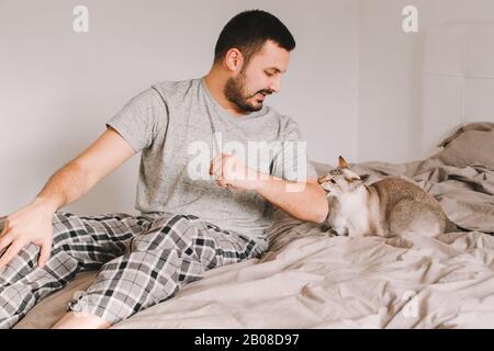 Kaukasischer Mann, der mit der Katze spielt. Wütende wütende Katze beißt kratzende Hausmeisterhand. Mann, der zu Hause mit orientalischer Katze auf dem Bett liegt. Haustierbesitzer mit Kuppel Stockfoto