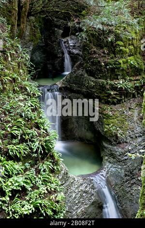 Wasserfall entlang des "Pilgerweges": Alte Pilgerfahrt in der Nähe der Madonna della Corona. Mount Baldo, Veneto, Italien. Stockfoto