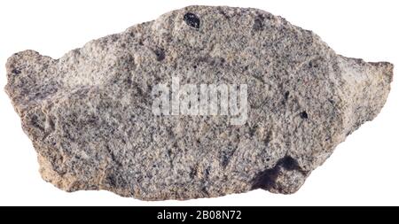Siltstone, siliclastic, Madoc, Ontario Siltstone ist ein sedimentäres Gestein, das eine Korngröße hat, die feiner ist als Sandstein und gröber als Tonstein. Stockfoto