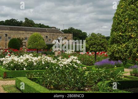 Ein formeller englischer Garten im Sommer in Grimsthorpe Castle, Lincoln, Großbritannien Stockfoto