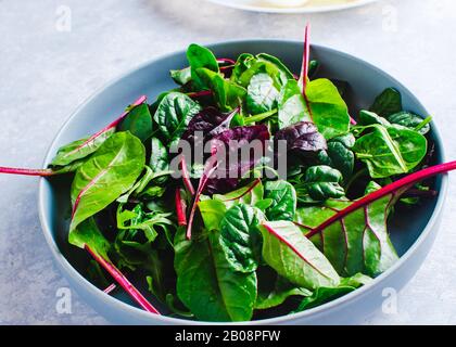 Mangold Salat in einer blauen Schüssel Draufsicht Stockfoto