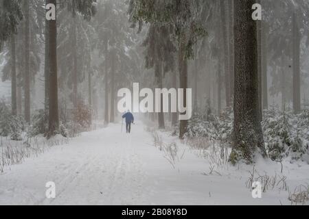 Ein Skilangläufer, der in einem verschneiten Winterwald spazieren geht Stockfoto