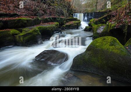 Wasserfall im Fluss Spodden im Healey Dell Nature Reserve in Rochdale, Lancashire, England, Großbritannien. Stockfoto