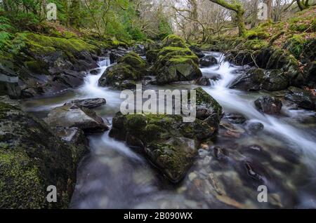 Afon Colwyn in Beddgelert, Wales im Snowdonia National Park im Vereinigten Königreich Stockfoto