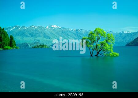 Blick auf den berühmten Wanaka-Baum, der mit langer Verschlusszeit aufgenommen wurde, in Lake Wanaka, South Island, Neuseeland, 29. November 2019 Stockfoto