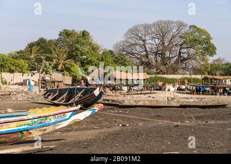 Fischerbote und riesiger Uralter Kapokbaum in Missirah, Sine Saloum Delta, Senegal, Westafrika, Fischerboote und riesiger alter Ceiba-Baum, Missirah, Stockfoto