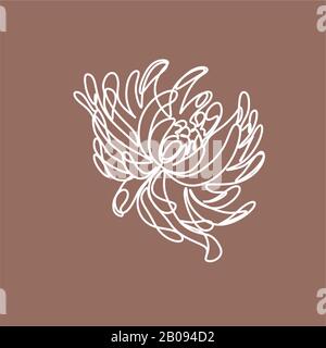 Botanische Linienillustration. Einzeilige Logo. Einladung zur Hochzeit. Blume in Linien. Prote Tulip Rose Magnolia Peony und Leaf Stockfoto