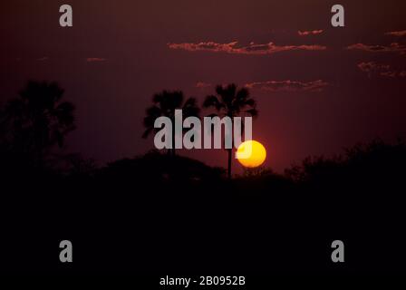 BOTSUANA, OKAVANGO-DELTA, MOMBO-INSEL, SONNENUNTERGANG Stockfoto