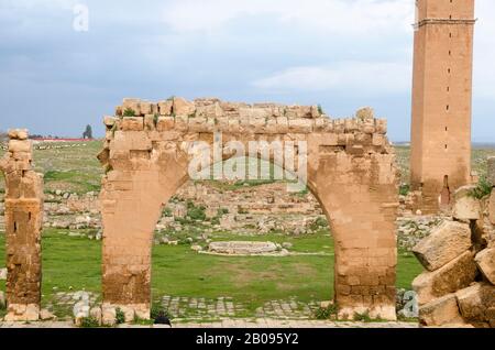 Älteste Universität der Welt, Harran University Stockfoto