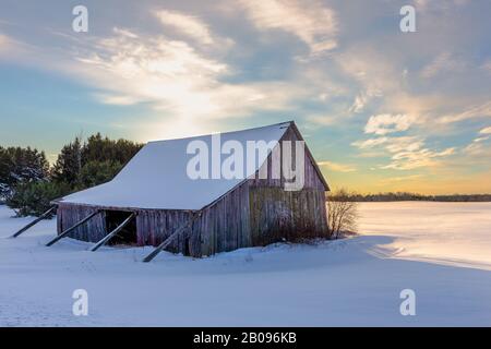 Verwitterter Schuppen oder Scheune in einem verschneiten Feld im Winter mit dahinterstehender Sonne. Konzepte könnten Natur, Jahreszeiten, Landwirtschaft, andere sein. Stockfoto