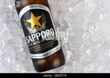 Irvine, CA - 12. JANUAR 2015: Eine Flasche Sapporo-Bier in der Nähe eines Eisbetts. Die japanische Brauerei wurde im Jahr 1876 vom deutschen Braumeister sei gegründet Stockfoto