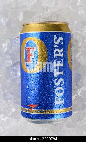 Irvine, CA - 12. JANUAR 2015: Eine einzelne 750 ml Dose Foster's Lager auf einem Eisbett. Die Marke hat internationale Anerkennung außerhalb Australiens Stockfoto