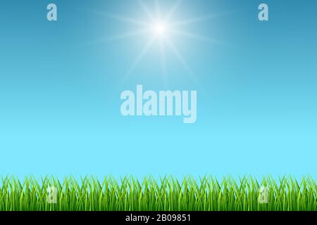 Blauer Himmel und grüner Grasvektor-Hintergrund reinigen. Illustration der Sommerfrische Saison Stock Vektor