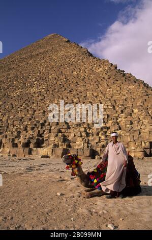 ÄGYPTEN, KAIRO, GIZEH, CHEOPS-PYRAMIDE MIT LOKALEM MANN UND KAMEL Stockfoto