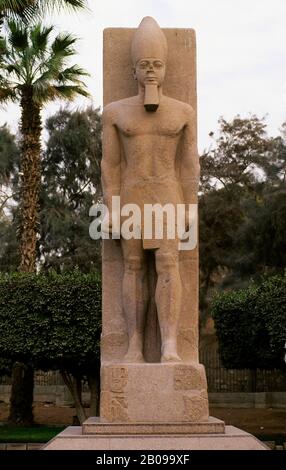 ÄGYPTEN, IN DER NÄHE VON KAIRO, MEMPHI, STATUE VON RAMSES II Stockfoto