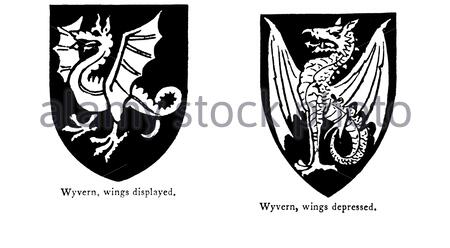 Wyvern Wings angezeigt, Wyvern Wings depressed, Vintage Illustration aus dem Jahr 1900 Stockfoto
