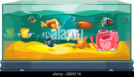 Cartoon Süßwasserfische in der Vektorgrafik des Tanktariums. Exotische Zeichentrickfische in Aquarienillustration Stock Vektor