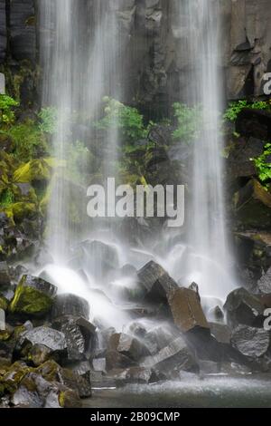 Lange Zeit Foto des berühmten Svartifoss Wasserfalls in Island, Europa. Das Wasser trifft auf die sechseckigen Basaltsteine Stockfoto