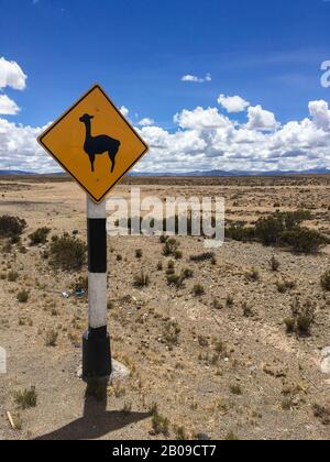 Llama oder Alpaka Road Sign On The Desert Highway, andes, Südamerika Stockfoto