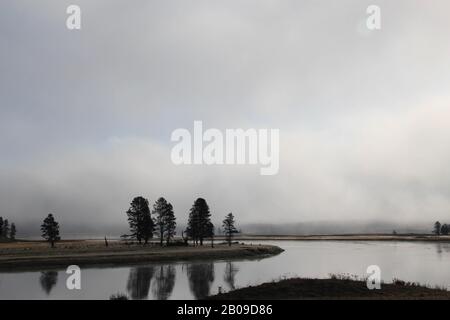 Einige Bäume reflektieren im Wasser im Morgennebel im yellowstone-nationalpark Stockfoto