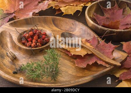 Schöne Herbstzusammensetzung aus mehrfarbigen geschnitzten Ahorn-Blättern, roten Rowan-Beeren in Holzplatte, Wacholder-Zweigen und Löffeln. Hintergrund Stockfoto