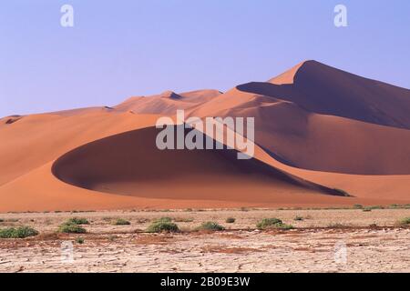 OB IN DER NAMIB-NAUKLUFT, IN SOSSUSVLEI, IN DER SANDDÜNE "BIG DADDY", DER GRÖSSTEN DÜNE DER WELT