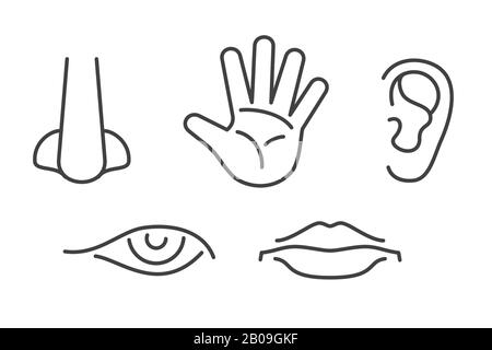 Fünf Sense-Vektorsymbole setzen isoliert weiß. Abbildung des Symbols "Menschenverstand" Stock Vektor