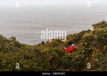 Cork, Irland. Feb. 2020. Atlas Cargo Ship, Ballyanna, Cork City Zuschauer machen sich auf den Weg hinunter zu einer der steilen Hänge, um einen besseren Blick zu erhalten. Atlas-Cargo-Schiff an der Küste von Ballycotton, östlich von Ballyanna, aufgespült. Viele Zuschauer machten sich auf den Weg durch Felder und steile Hänge, um das Wrack selbst zu sehen, einige kamen sogar zu einem genaueren Blick, stiegen die provisorische Leiter hinauf und erkundeten das Schiffsdeck trotz starker Winde und Regen. Credit: Damian Coleman/Alamy Live News Stockfoto