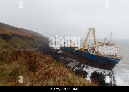 Cork, Irland. Feb. 2020. Atlas Cargo Ship, Ballyanna, Cork City Atlas Cargo Ship washed up on the Ballycotton Coast just East of Ballyanna. Viele Zuschauer machten sich auf den Weg durch Felder und steile Hänge, um das Wrack selbst zu sehen, einige kamen sogar zu einem genaueren Blick, stiegen die provisorische Leiter hinauf und erkundeten das Schiffsdeck trotz starker Winde und Regen. Credit: Damian Coleman/Alamy Live News Stockfoto