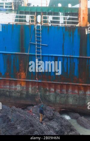 Cork, Irland. Feb. 2020. Atlas Cargo Ship, Ballyanna, Cork City EIN Mann, der sich den steilen Hang hinunter zum Boden machte und den provisorischen lader auf das Deck klimte. Atlas-Cargo-Schiff an der Küste von Ballycotton, östlich von Ballyanna, aufgespült. Viele Zuschauer machten sich auf den Weg durch Felder und steile Hänge, um das Wrack selbst zu sehen, einige kamen sogar zu einem genaueren Blick, stiegen die provisorische Leiter hinauf und erkundeten das Schiffsdeck trotz starker Winde und Regen. Credit: Damian Coleman/Alamy Live News Stockfoto