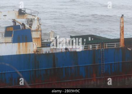 Cork, Irland. Feb. 2020. Atlas Cargo Ship, Ballyanna, Cork City EIN Mann, der sich den steilen Hang hinunter zum Boden machte und den provisorischen lader auf das Deck klimte. Atlas-Cargo-Schiff an der Küste von Ballycotton, östlich von Ballyanna, aufgespült. Viele Zuschauer machten sich auf den Weg durch Felder und steile Hänge, um das Wrack selbst zu sehen, einige kamen sogar zu einem genaueren Blick, stiegen die provisorische Leiter hinauf und erkundeten das Schiffsdeck trotz starker Winde und Regen. Credit: Damian Coleman/Alamy Live News Stockfoto