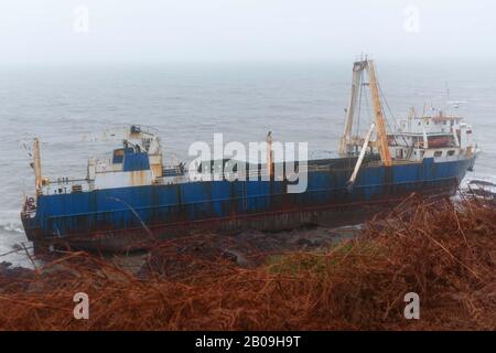 Cork, Irland. Feb. 2020. Atlas Cargo Ship, Ballyanna, Cork City EIN Mann, der sich den steilen Hang hinunter zum Boden machte und den provisorischen lader auf das Deck klimte. Atlas-Cargo-Schiff an der Küste von Ballycotton, östlich von Ballyanna, aufgespült. Viele Zuschauer machten sich auf den Weg durch Felder und steile Hänge, um das Wrack selbst zu sehen, einige kamen sogar zu einem genaueren Blick, stiegen die provisorische Leiter hinauf und erkundeten das Schiffsdeck trotz starker Winde und Regen. Credit: Damian Coleman/Alamy Live News Stockfoto